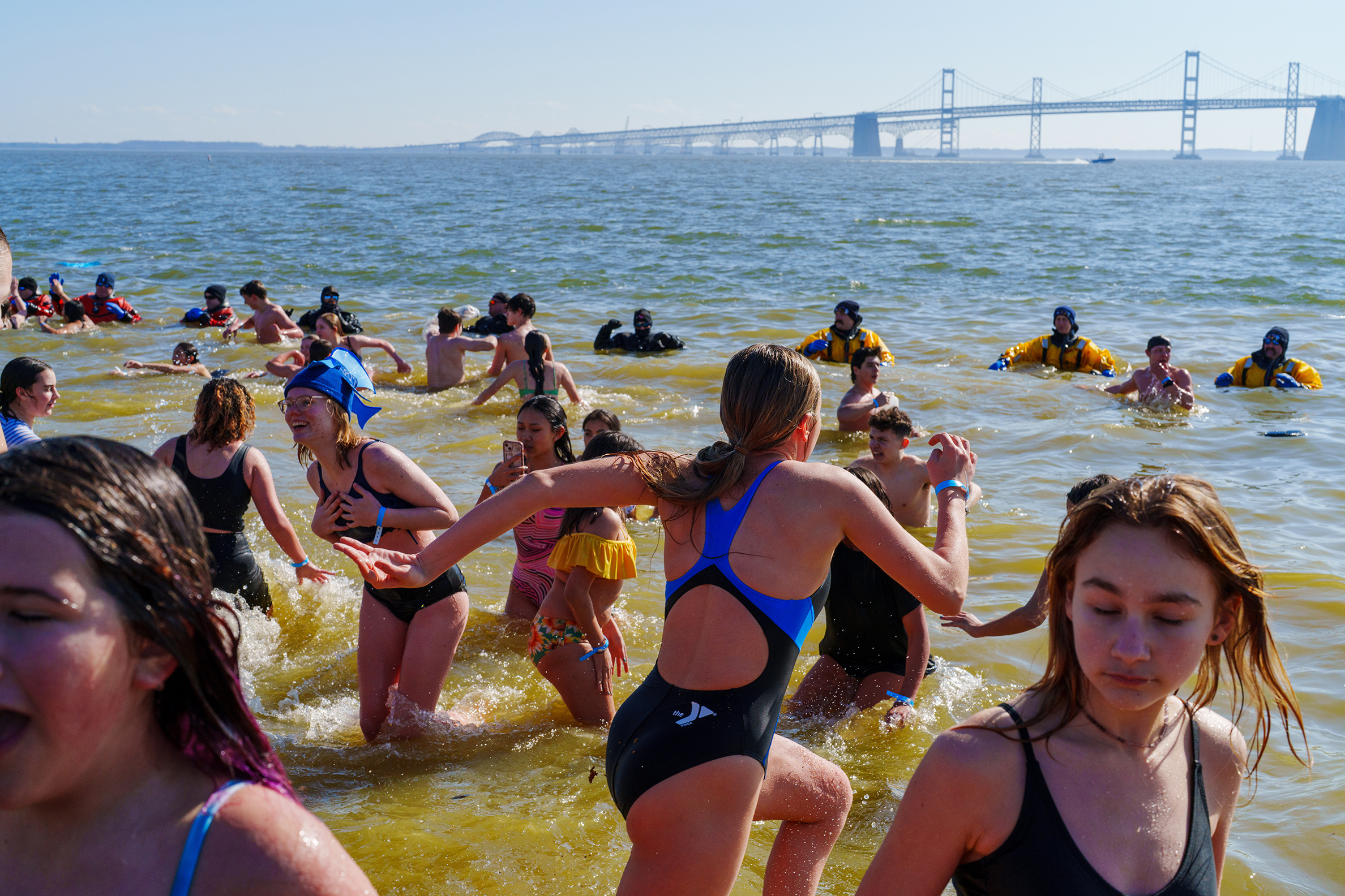 Polar Bear Plunge